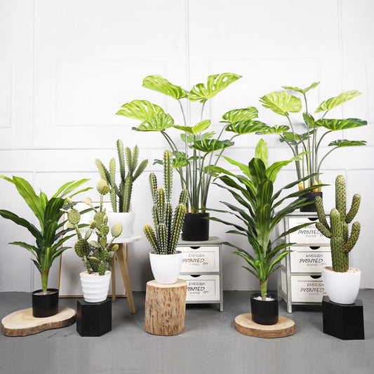 Indoor Decorative Ornaments
