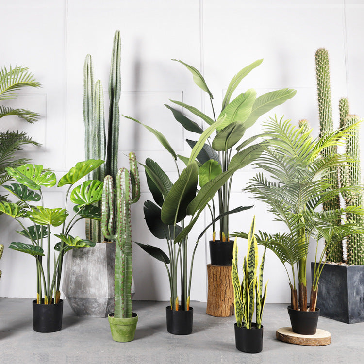Indoor Decorative Ornaments