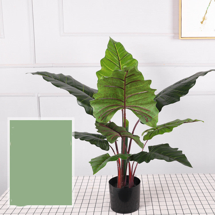 Indoor Decorative Ornaments