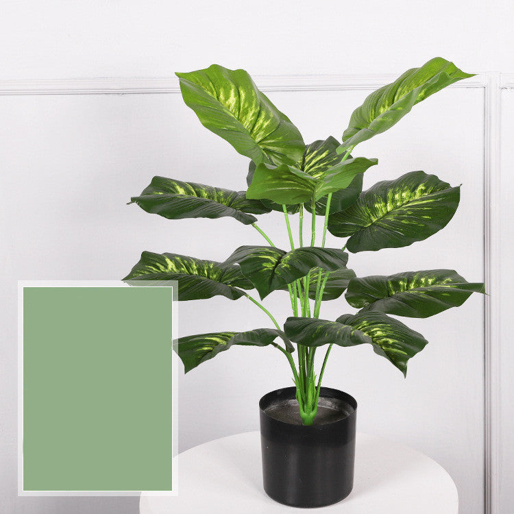 Indoor Decorative Ornaments