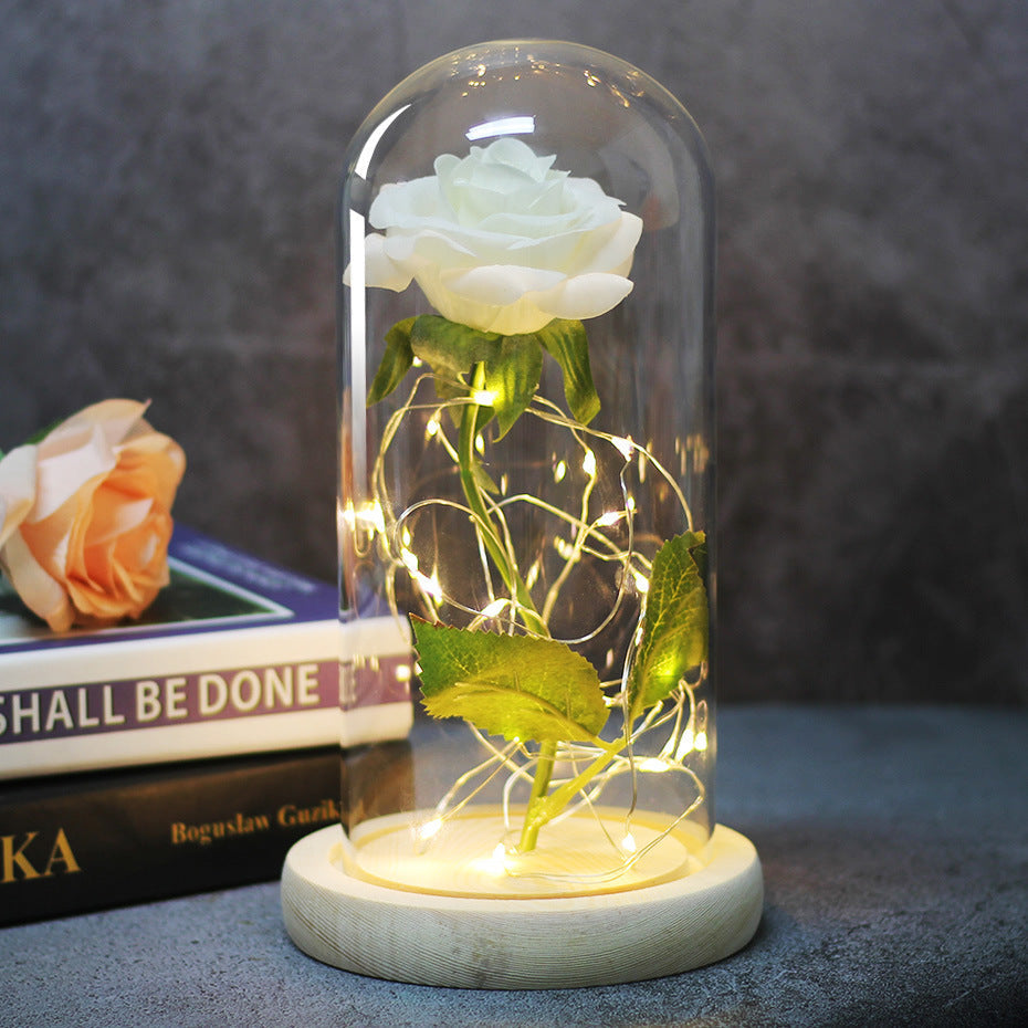 Enchanted Forever Rose