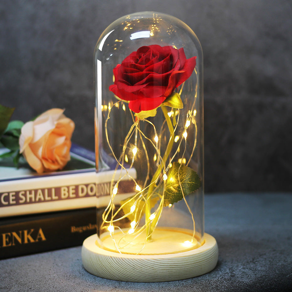 Enchanted Forever Rose