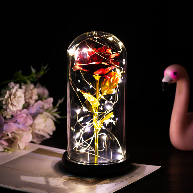 Enchanted Forever Rose