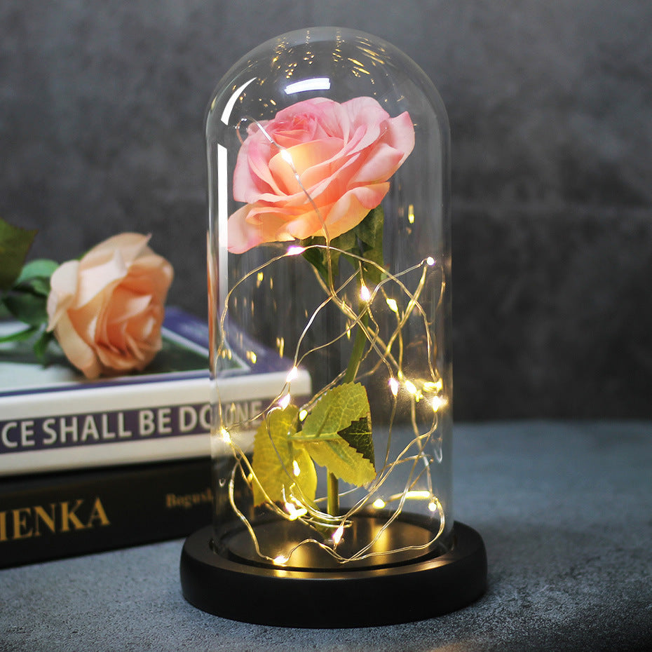 Enchanted Forever Rose