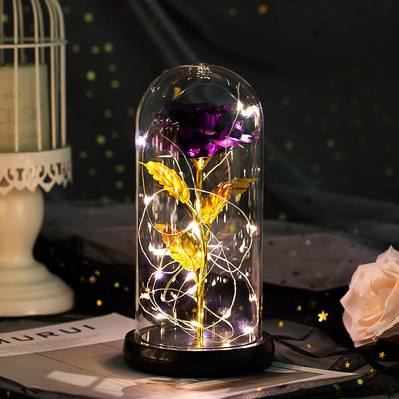 Enchanted Forever Rose