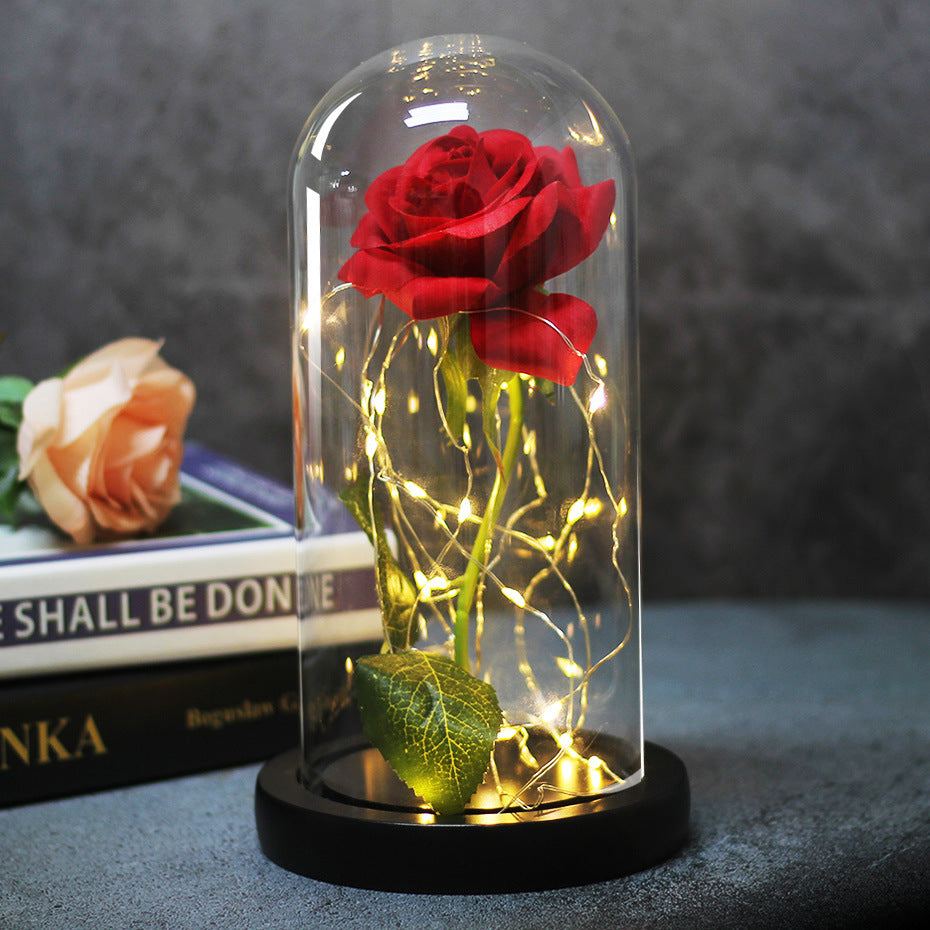 Enchanted Forever Rose