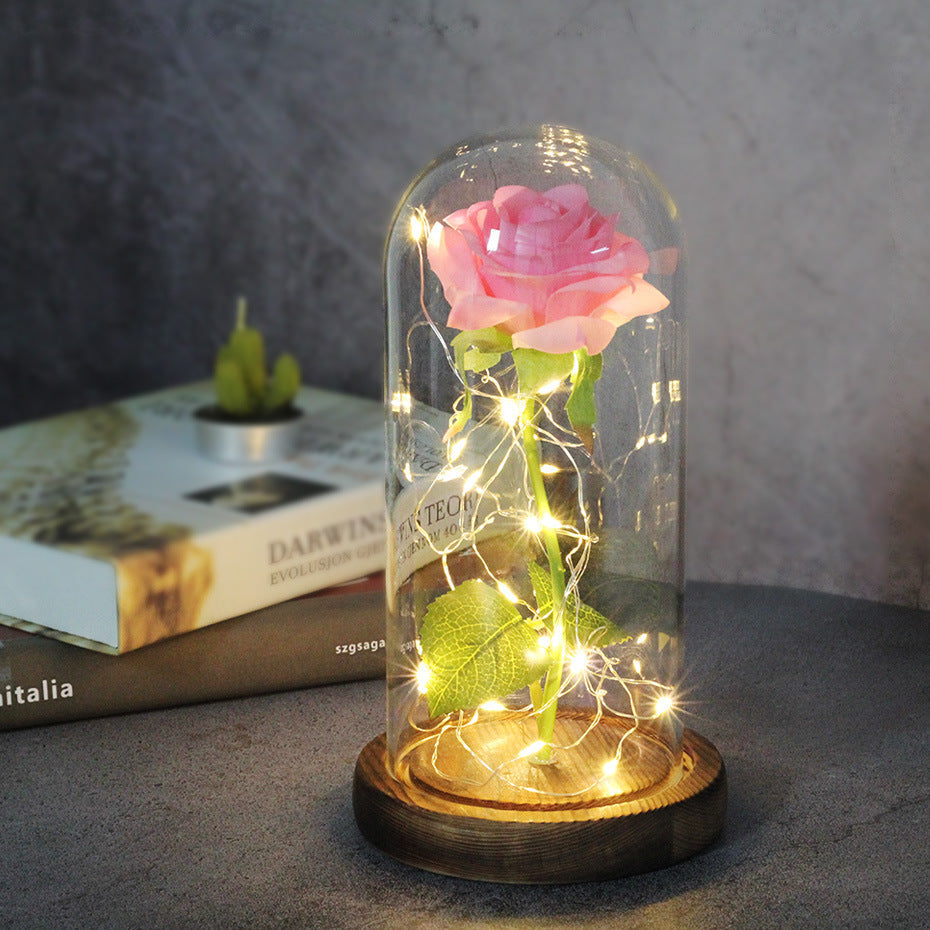 Enchanted Forever Rose