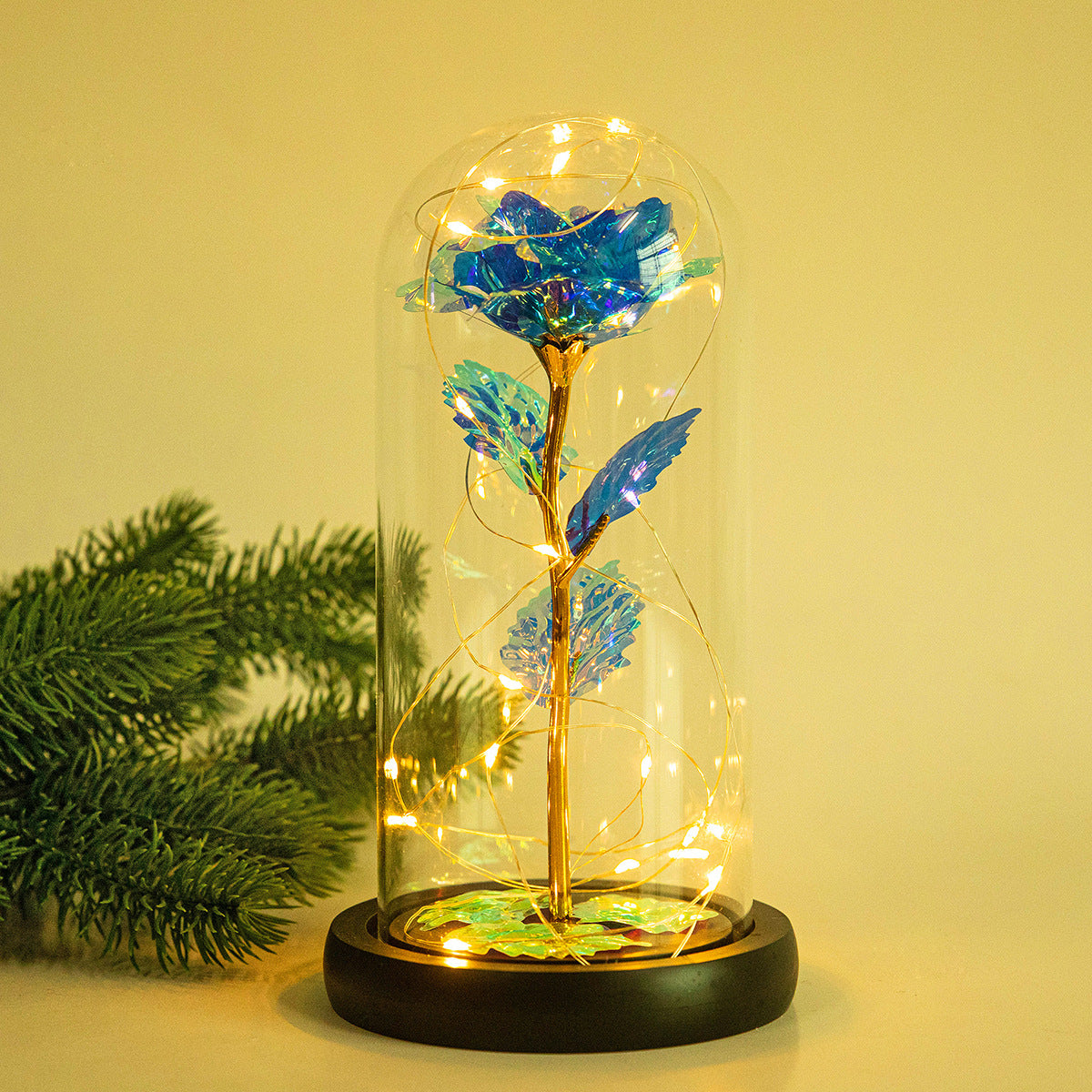 Enchanted Forever Rose