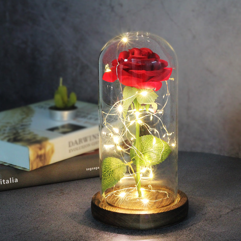 Enchanted Forever Rose