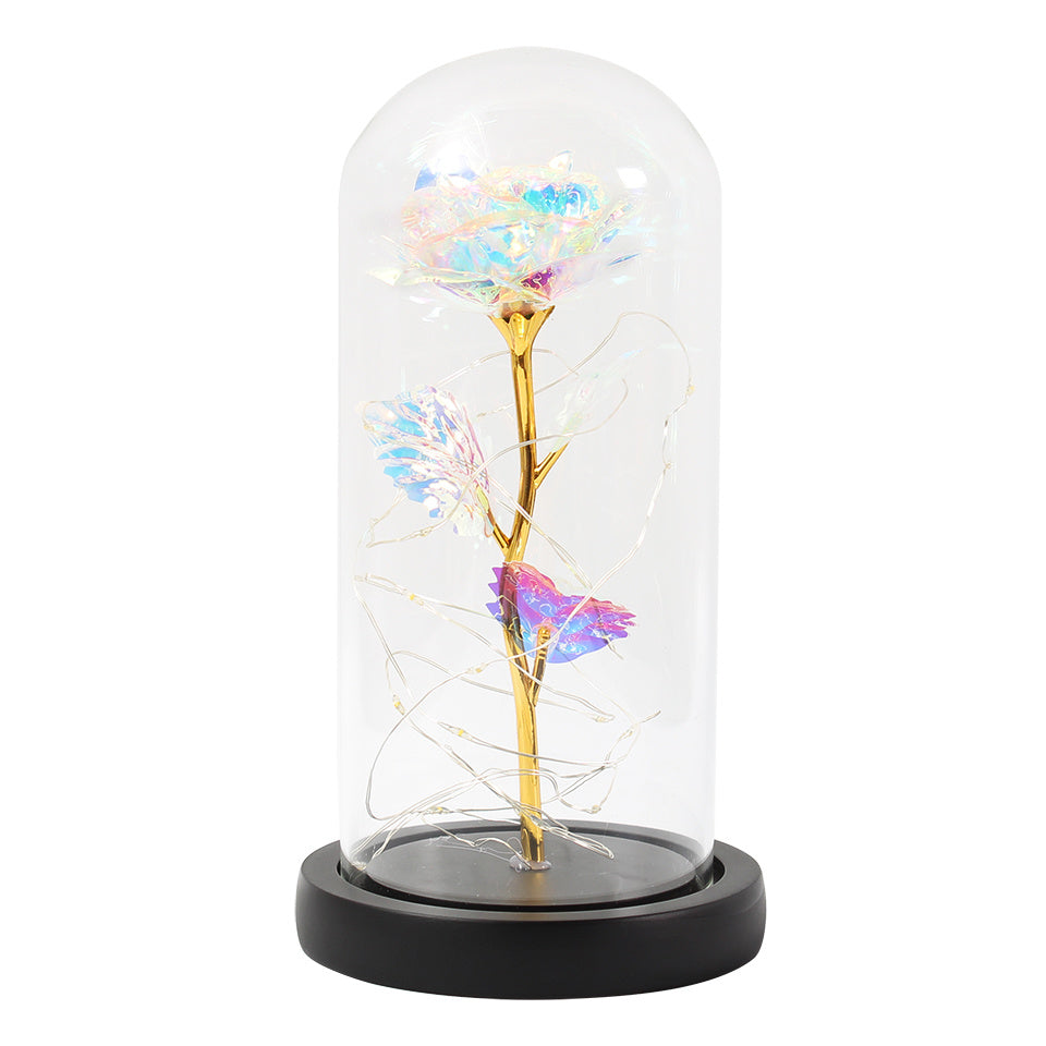 Enchanted Forever Rose