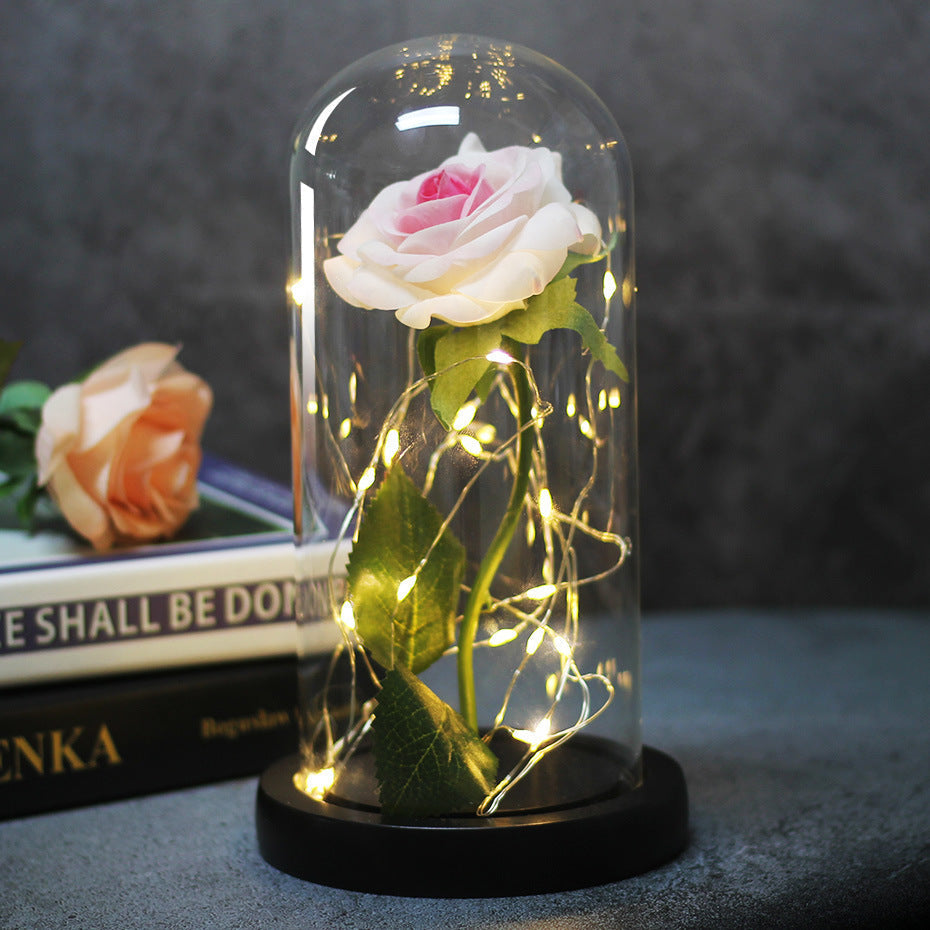 Enchanted Forever Rose