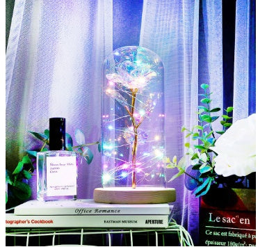 Enchanted Forever Rose