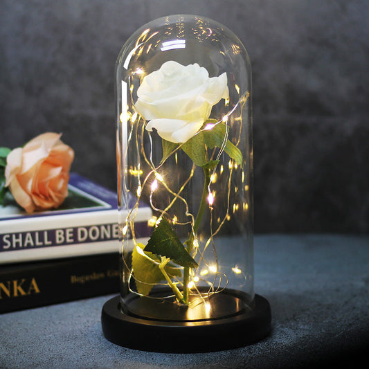 Enchanted Forever Rose