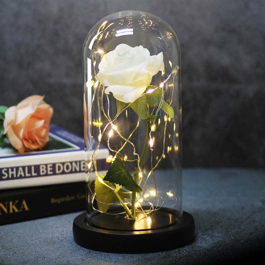 Enchanted Forever Rose