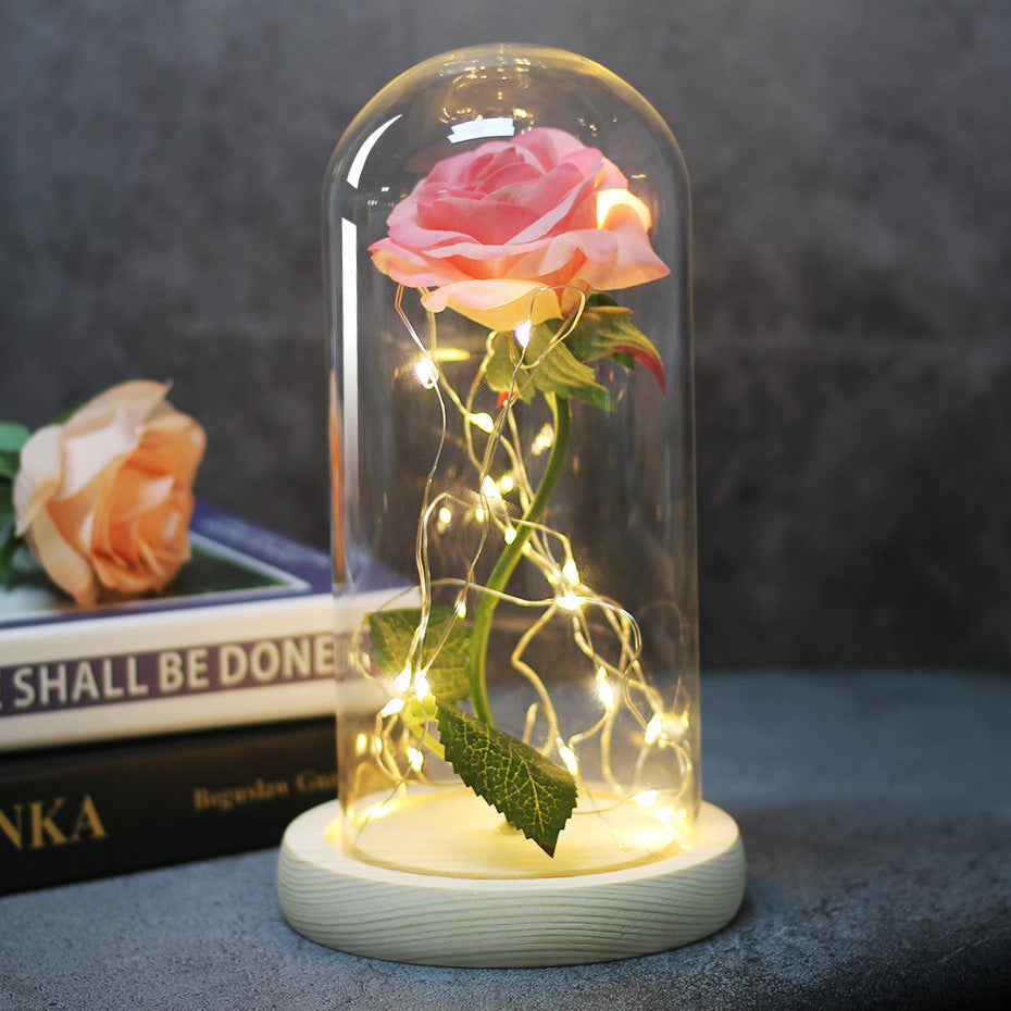 Enchanted Forever Rose