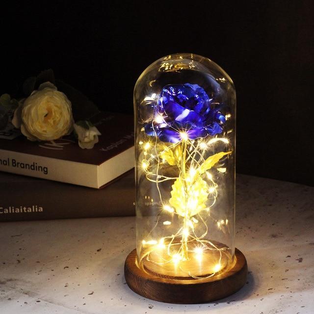 Enchanted Forever Rose