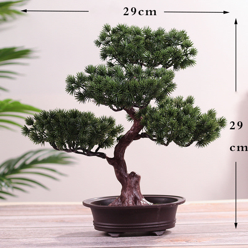 Bonsai Ornaments