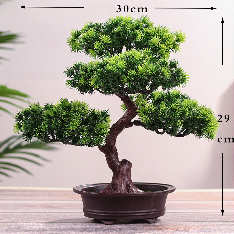 Bonsai Ornaments